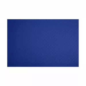 Set de table 30x40cm Bleu foncé COLOR (13B02)